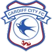 Cardiff City - ijersey