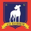AFC Richmond - ijersey