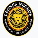 Leones Negros UdeG - ijersey