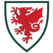 Wales - ijersey