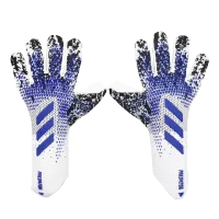 Goalkeeper Gloves 2012 White&Blue - ijersey