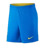 Brazil Home Jersey Shorts 2021 By - elmontyouthsoccer