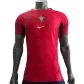 Portugal Jersey 2022 Authentic -Special -Concept - elmontyouthsoccer