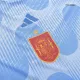 Spain Jersey 2022 Authentic Away World Cup - ijersey