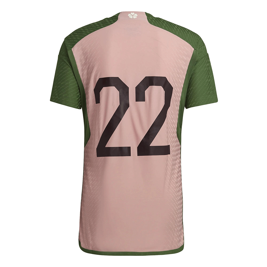 Japan Jersey 2022 Authentic -Special - ijersey