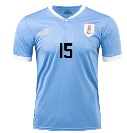 Uruguay Home Qatar World Cup 2022 Federico \VALVERDE\ #15 Jersey