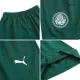 Youth Palmeiras Jersey Kit 2023/24 Away - ijersey