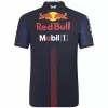Oracle Red Bull F1 Racing Team Polo 2023 - ijersey