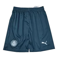 Palmeiras Soccer Shorts 2023/24 Away - elmontyouthsoccer