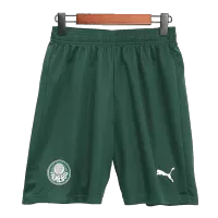 Palmeiras Soccer Shorts 2023/24 Away - ijersey