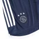 Ajax Soccer Shorts 2023/24 Away - ijersey