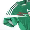 Mexico Jersey 2014 Home Retro - ijersey