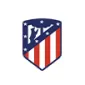 UEFA CHAMPIONS LEAGUE 2024/25 - ijersey