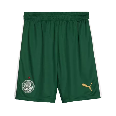Palmeiras Soccer Shorts 2024/25 Away - ijersey