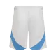 Argentina Soccer Shorts 2024 Home - ijersey