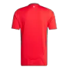 Wales Jersey 2024 Home - ijersey