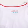 Chile Jersey Copa America 2024 Away - ijersey