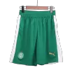 Palmeiras Soccer Shorts 2024/25 Away - ijersey