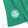 Palmeiras Soccer Shorts 2024/25 Away - ijersey