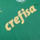 SE Palmeiras Jersey 2024/25 Home - ijersey