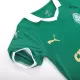 Youth Palmeiras Jersey Kit 2024/25 Home - ijersey