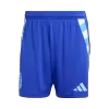 Argentina Soccer Shorts 2024 Away - ijersey