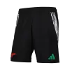 Arsenal Soccer Shorts 2024/25 Away - ijersey