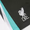 Liverpool Soccer Shorts 2024/25 Away - ijersey