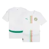 Senegal Jersey 2024/25 Home - ijersey