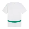 Senegal Jersey 2024/25 Home - ijersey