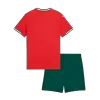 Youth Portugal Jersey Kit 2025 Home - ijersey