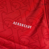 Arsenal Jersey 2025/26 Home - ijersey